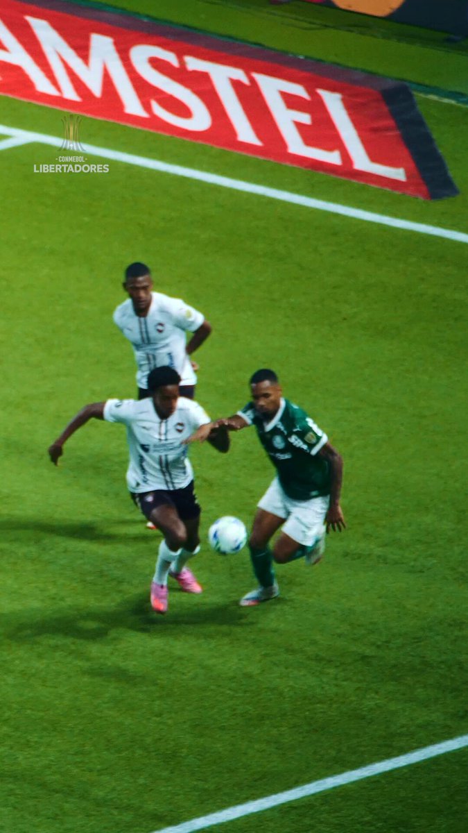 💎🐷 Allan Andrade Elias: quando o menino do SE Palmeiras tá 🔛...