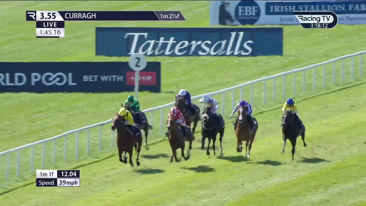 ALMAQAM 🟡⚫️ A first Group One success under Kieran Shoemark in the Tattersalls Gold Cup 🏆 The Curragh Racecourse | Kingsdown Stables