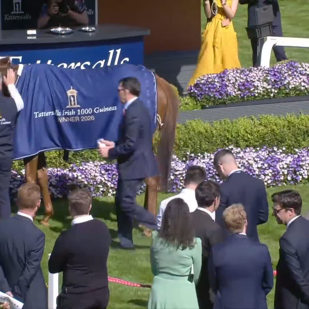 ✅ Post-race drink for Precise ✅ Pats from Aidan O'Brien ✅ Fist bumps 👊 A happy winners' enclosure 😄 The Curragh Racecourse