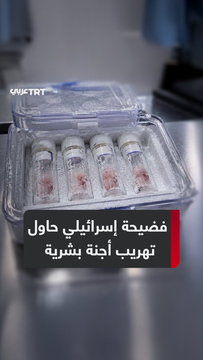 "الصهاينة وحدهم من يتاجر بالأجنة".. اعتقال إسرائيلي في جمهورية شمال قبرص التركية خلال محاولته تهريب 4 أجنة بشرية عبر مطار أرجان، وناشطون يصفون الإسرائيليين بـ"كائنات منحطة"، فما تفاصيل القضية؟ ما #تعليقك على هذه القصة؟