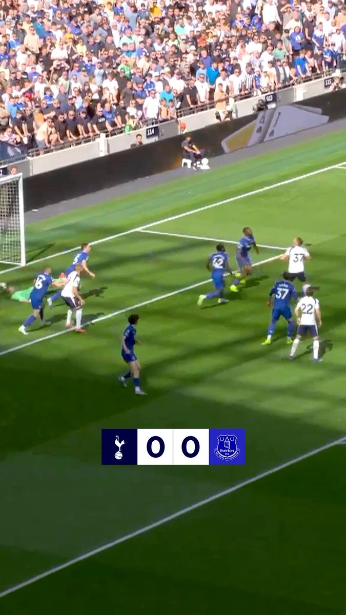Highlights: Spurs 1-0 Everton 📺
