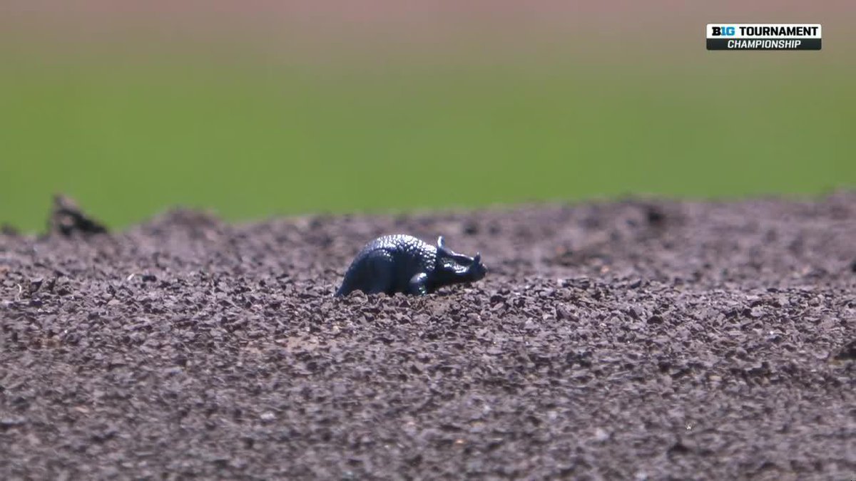 UCLA pitcher Angel Cervantes keeps a mini dinosaur named Jerry on the mound with him every time he pitches