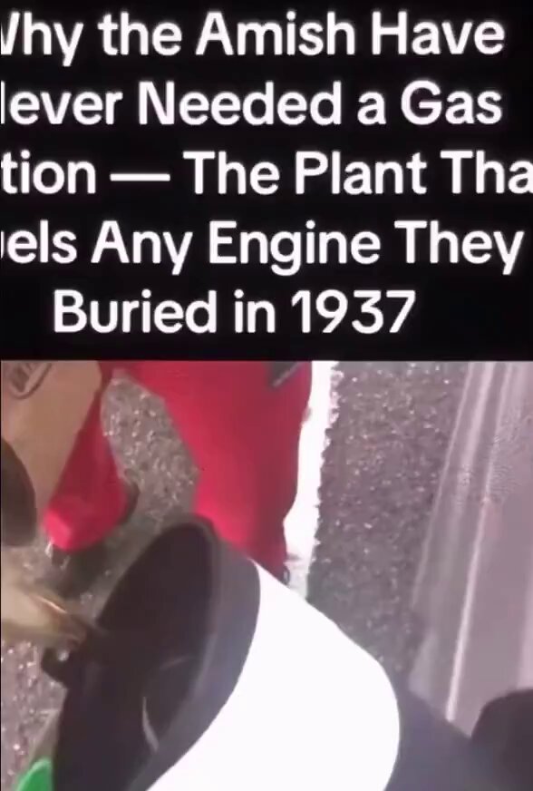 Prohibition wasn’t about stopping people from drinking alcohol, it was about stopping farmers from creating their own fuel for their machines. Making hemp illegal wasn't to keep people safe, it was to maintain the petroleum Monopoly.