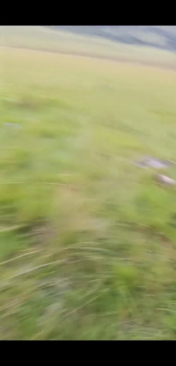 Les miliciens terroristes Rwandais (#RDF) fait désormais face à une réponse réglementaire, méthodique et implacable sur le terrain sans faiblesse, jusqu’à neutralisation totale.