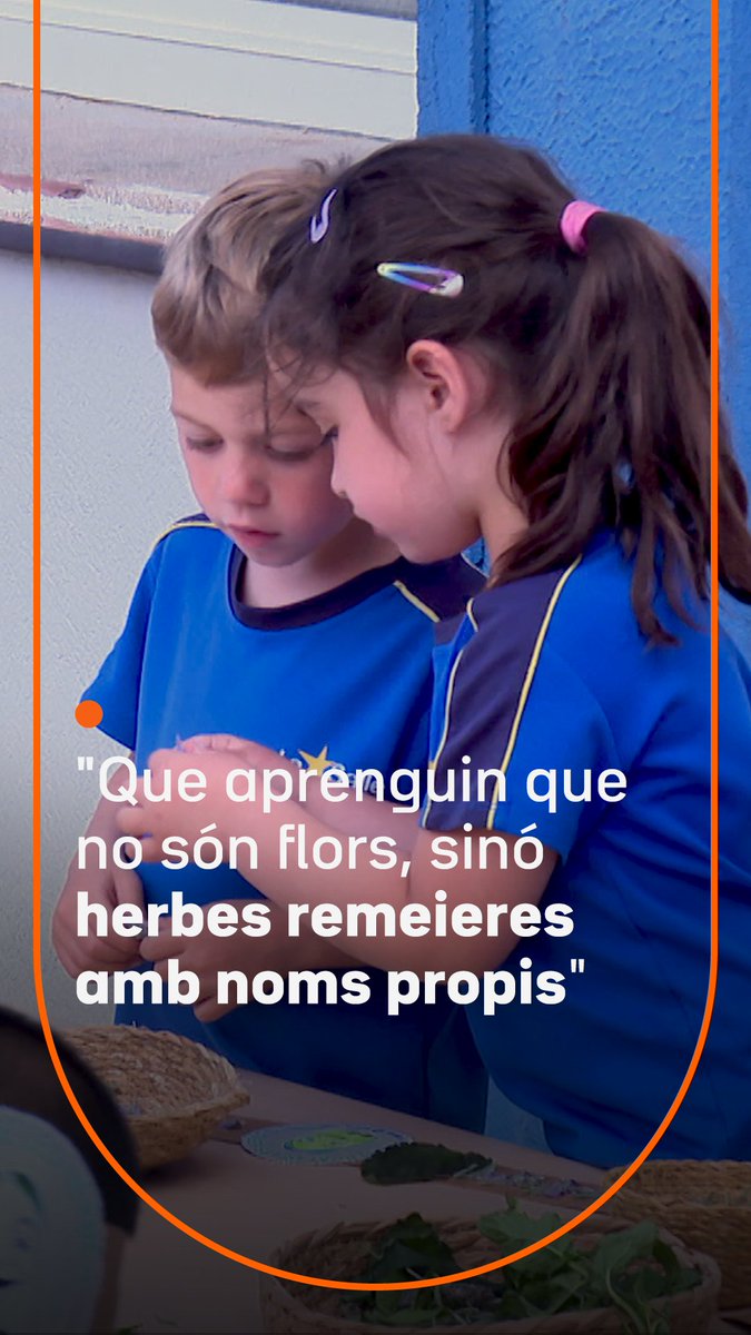 “Que aprenguin que no són flors, sinó herbes remeieres amb noms propis.” A Santa Coloma de Farners les escoles fan tallers per aprendre a identificar aquestes plantes. “Estan al nostre abast: farigola, romaní, tomanyí…”