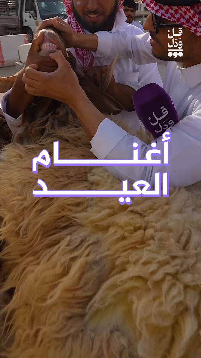 بين الأسعار والمواصفات… ثامر في جولة بسوق الأغنام #السعودية #الرياض #قل_ودل
