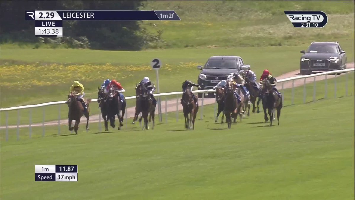 ✅ Nice debut from Snapback (Intello) Leicester Racecourse