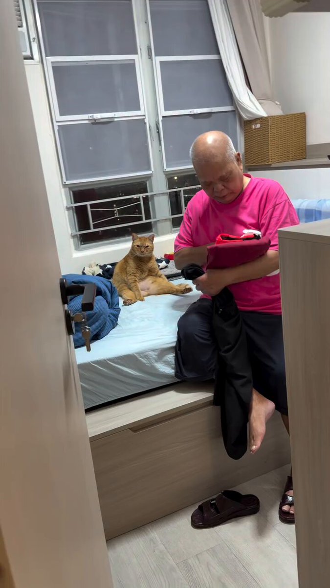 มึง คุณตาบอกลูกสาวไว้ ห้ามเอาแมวมาเลี้ยงเด็ดขาด เอามาไม่เลี้ยงให้นะ ผ่านไป 2 อาทิตย์ ไอ้ส้มมันมาตอนเตียงตาแล้วจ้า น่ารักมากจริงๆ 55555555555