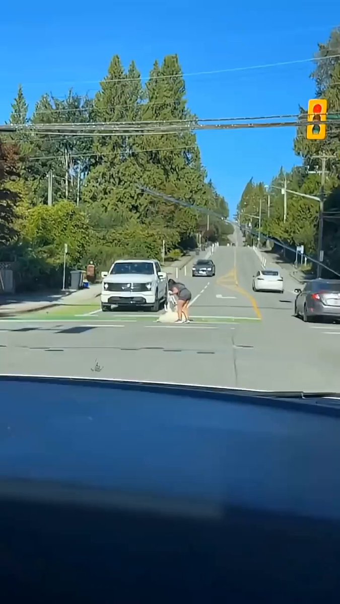 Huskies are never quiet