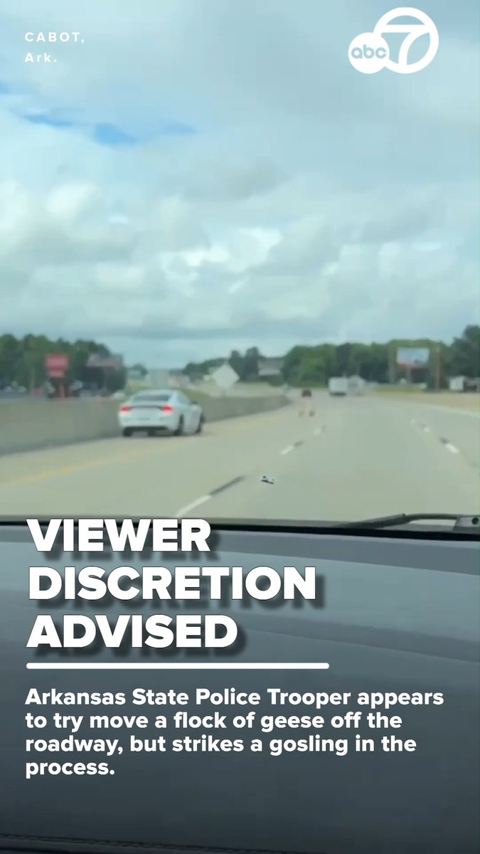 What was thought to be a lighthearted video of a family of geese crossing an interstate turned bleak as an Arkansas State Police Trooper appeared to try to move the flock off the roadway, but instead, struck a gosling in the process. FULL STORY: