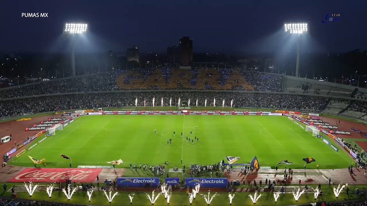 ¡Gracias, Pumas, por un torneo inolvidable! 💙💛 Volveremos a encontrarnos en julio. ¡Vamos por más! 🐾⚽ 🎶 "Cómo no te voy a querer..." 🎶 #UNAMGlobalTV >