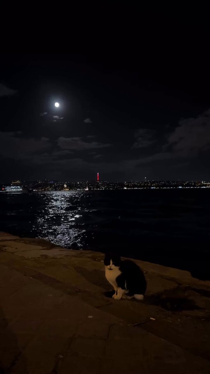 Ben umudumu, uğruna sabahı zor ettiğim insanın, hiç umrunda olmadığımı farkettiğim gün kaybettim.