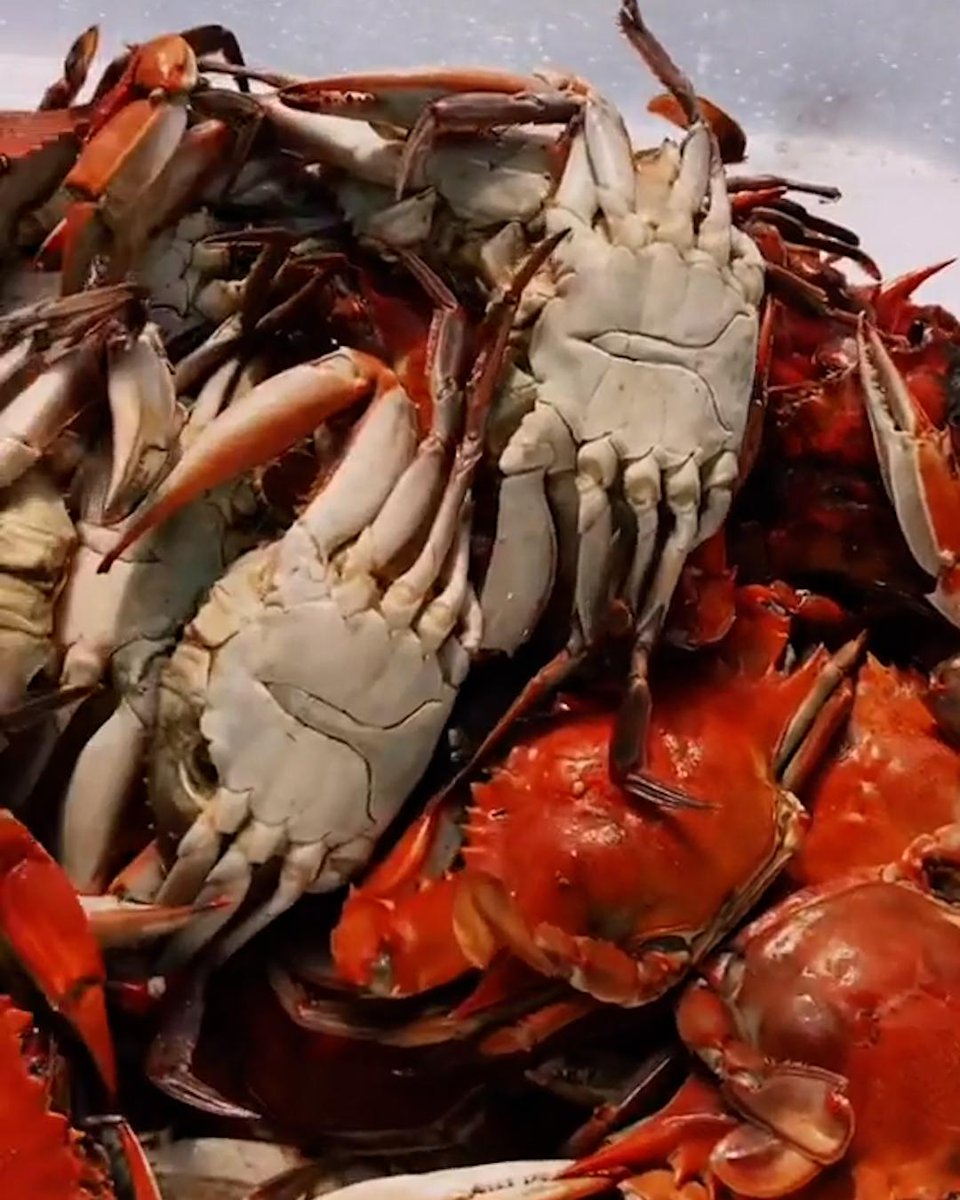this crab boil is platinum