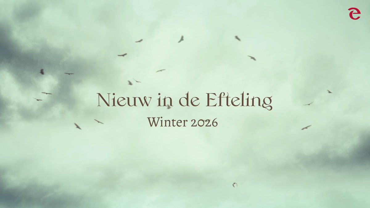 De naam is onthuld… Ravenring! 🪶🖤 Eind 2026 vlieg je in deze nieuwe attractie van Raveleijn zelf hoog door de lucht op de vleugels van een raaf. Jouw vliegkunsten en uithoudingsvermogen zullen op de proef worden gesteld…