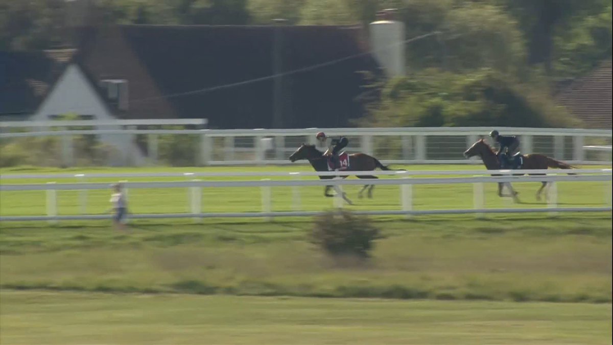 "A very interesting Derby contender." £1.1m gns buy Ancient Egypt handles the track at Epsom Downs Racecourse nicely earlier for Johnston Racing and Amo Racing