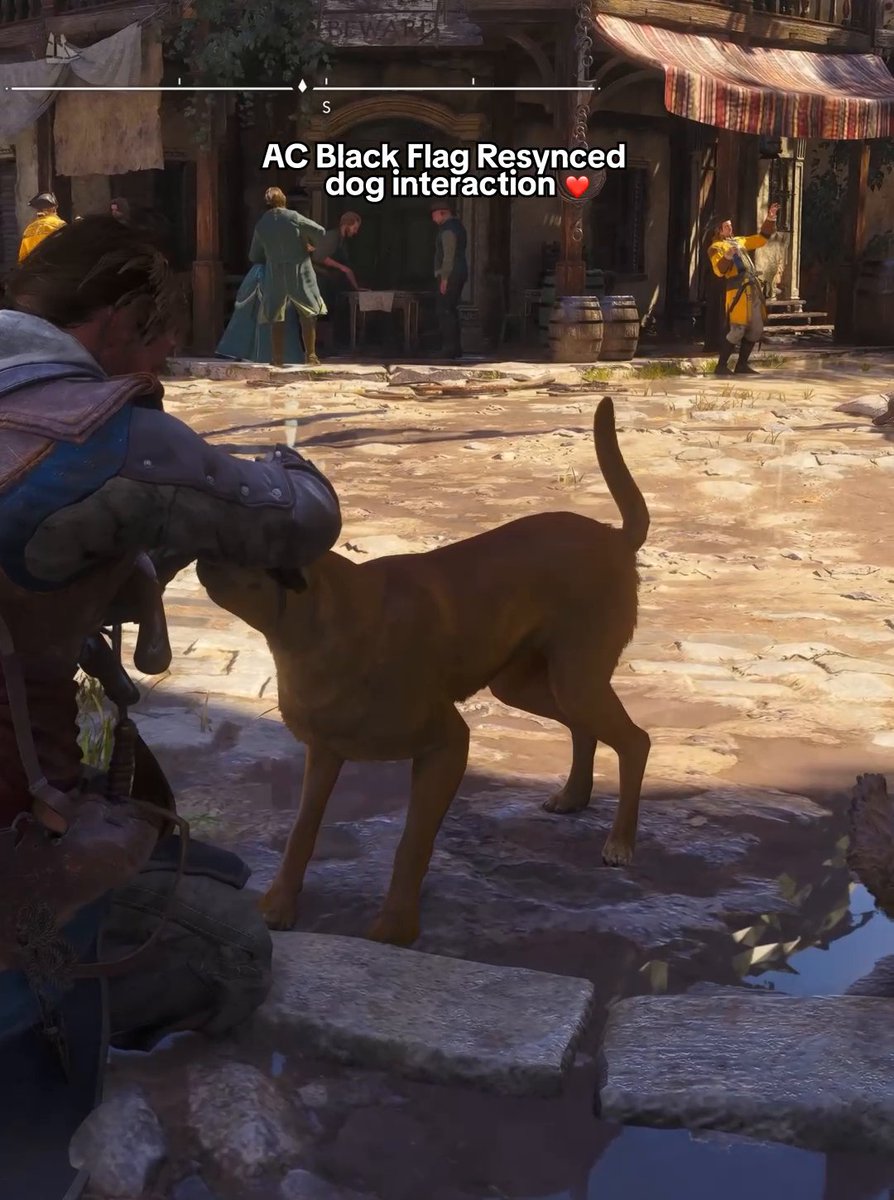 forget my mission, this is more important 🐕 #assassinscreedblackflagresynced