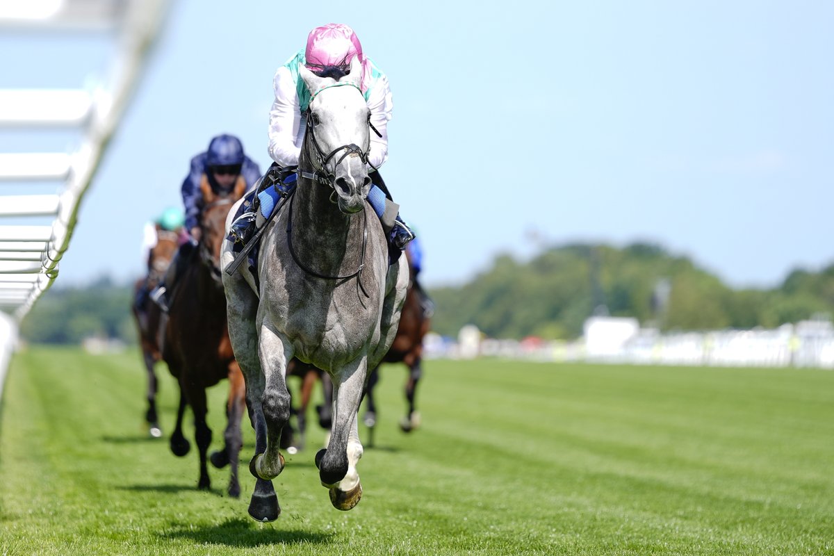 Who doesn't love a grey? 😍 FIELD OF GOLD captured the imagination on the first day of #RoyalAscot last year as he stormed home in the St James's Palace Stakes 🩷💚