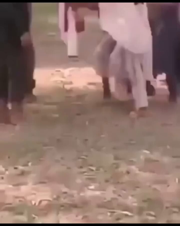 اس پولیس اہلکار کی کیا پرورش ہوگی جس نے ایک خواتین کے ساتھ یہ سلوک کیا سُنیا یہ عورت حاملہ تھی اور اس چوٹ کی وجہ سے شدید نقصان پہنچا اور دُنیا چھوٹی گئی 🥲🥲