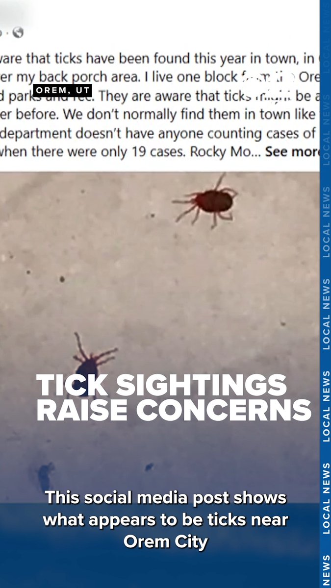 Reports of ticks near Orem City Center Park and surrounding neighborhoods are raising concerns among Utah County residents as families spend more time outdoors during the holiday weekend. 🔗Read more at