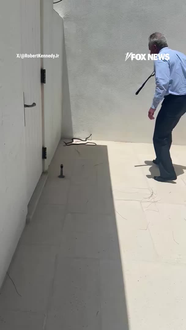 “Those are dangerous!” HHS Secretary RFK Jr. sharing a wild video of himself grabbing two black racer snakes off Dr. Mehmet Oz’s patio while his wife Cheryl Hines repeatedly warns him to stop. The snakes can be seen twisting around Kennedy’s hands and biting him multiple times while he tries to remove them from the property.