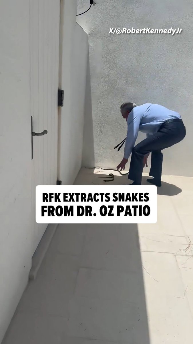 🐍 RFK Jr. double-fists snakes having sex.
