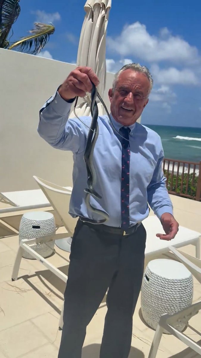 From allegedly cutting off a dead raccoon’s penis to ‘study later’ to beheading a beached whale and strapping it to his van, RFK Jr.’s latest snake post adds to his long history of bizarre encounters with animals.