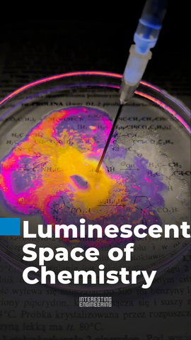 By using these vibrant color indicators, microscopic processes that are completely invisible to the naked eye suddenly transform into highly trackable, quantifiable visual data.