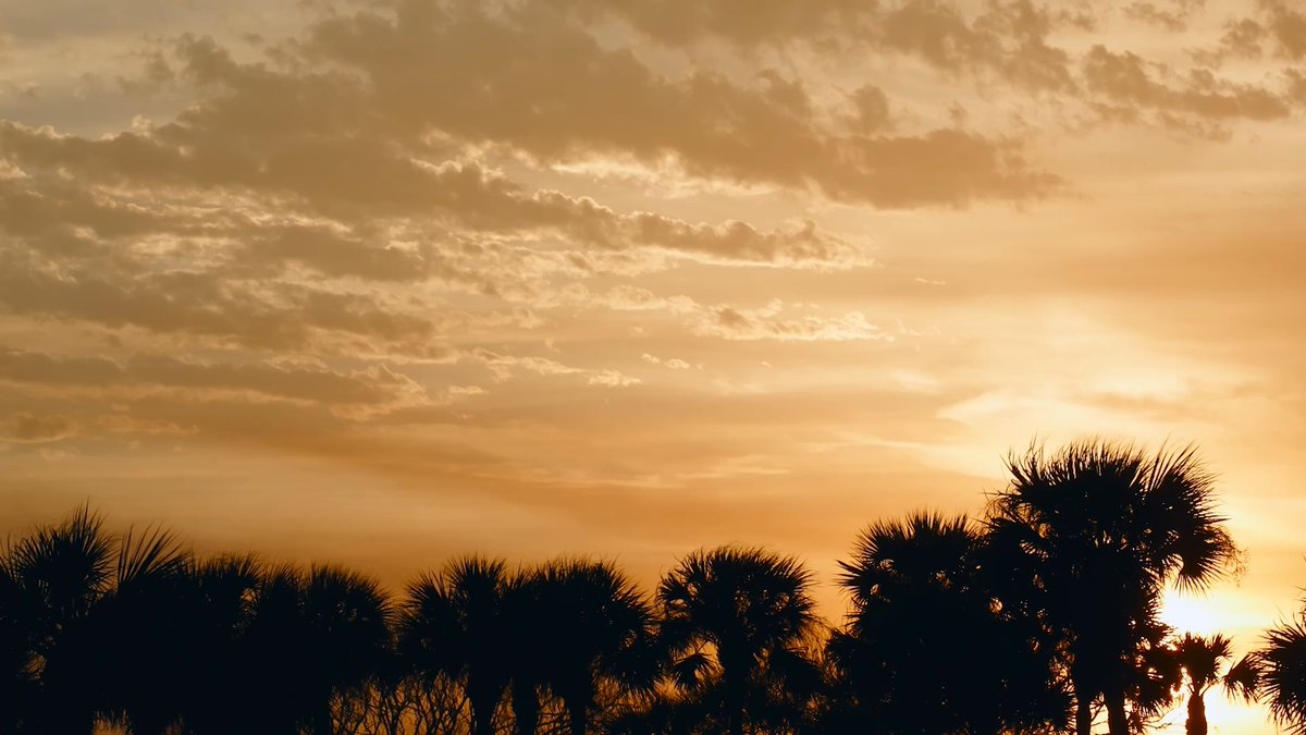 In celebration of America250FL, VISIT FLORIDA is bringing Florida history to life through a new docuseries, “America 250: A Portrait of Florida.” The seven-episode series showcases the people, places, and pivotal moments that have shaped Florida and, in turn, the United States. Each episode offers a compelling look at Florida’s enduring influence on the American story and encourages travelers to visit Florida's historical sites and landmarks in celebration of America 250. America250FL Watch episodes now at