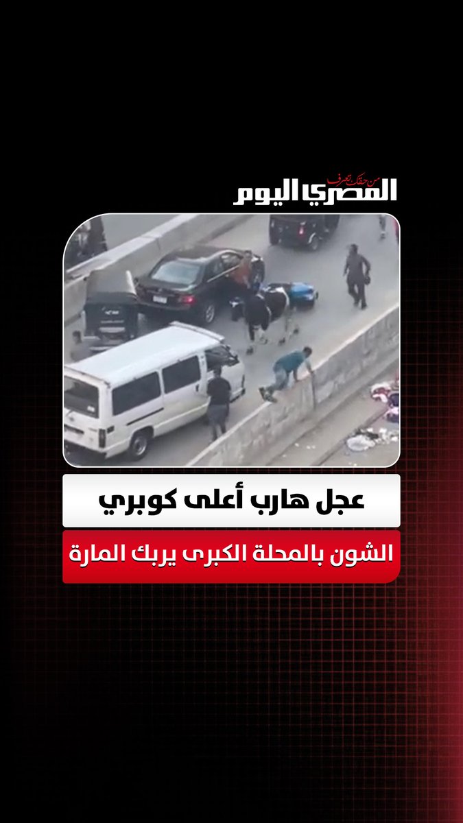 «سابوا الفِسبا وطلعوا يجروا».. عجل هارب أعلى كوبري الشون بالمحلة الكبرى يربك المارة