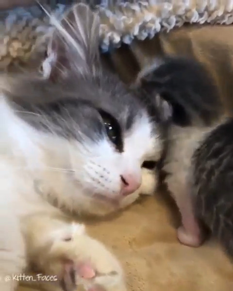 This mommy loves her baby ๐ ๐ฅฐ