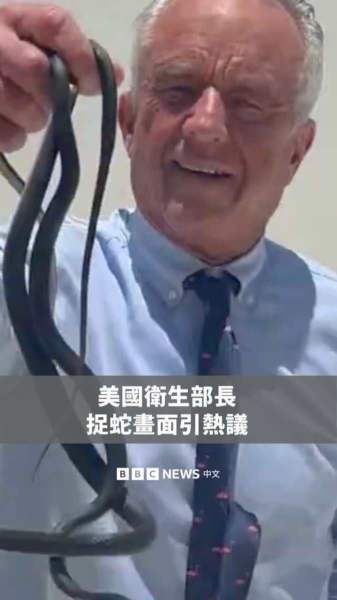 一段影片显示，美国卫生部长小罗伯特‧甘迺迪在佛罗里达州一处海边住所抓一种名为“黑游蛇”的蛇类。 根据美国国家公园管理局说法，这种蛇无毒，只要不去打扰牠们，对人类没有危险。 小甘迺迪曾因与动物相关的事件引起关注。据报，他曾割掉一只被车撞死的浣熊的阴茎，并曾被指控用电锯砍下搁浅鲸鱼的头颅，再将其运回家。