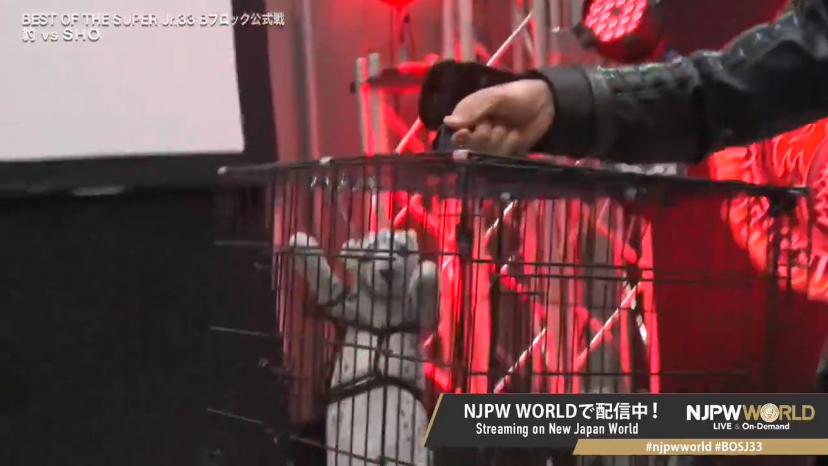 .SHO "😈😈😈" . .豹🐆HYO "みょんみょーーーーーーん😭" From the profile URL #njpwworld #BOSJ33