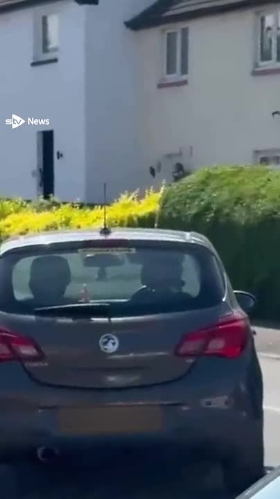 Watch moment skip lorry ploughs into Edinburgh home's living room