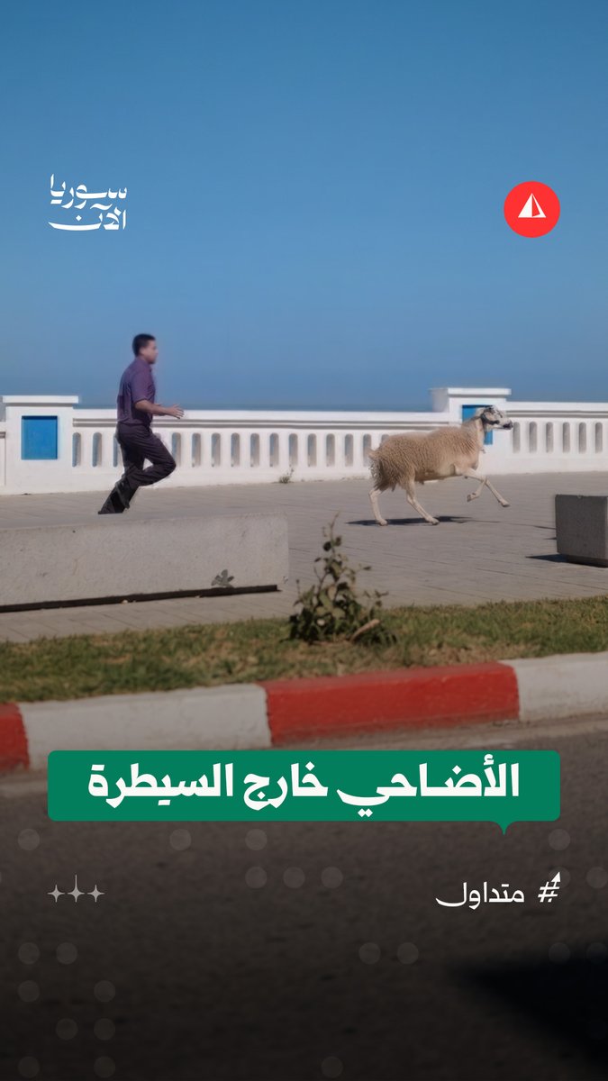 لحظات طريفة وثّقتها الكاميرات لمحاولات هروب أضاحي العيد من أصحابها حول العالم #متداول