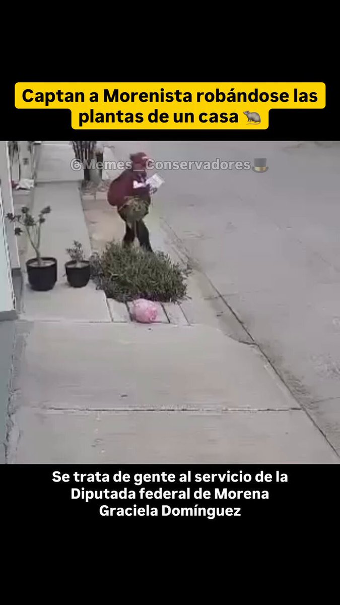 Un operador de MORENA fue captado robando a vecinos mientras repartía propaganda de campaña anticipada de una diputada Federal. Ni con presupuesto público les basta. También meten la mano en lo ajeno y todavía se dicen honestos.
