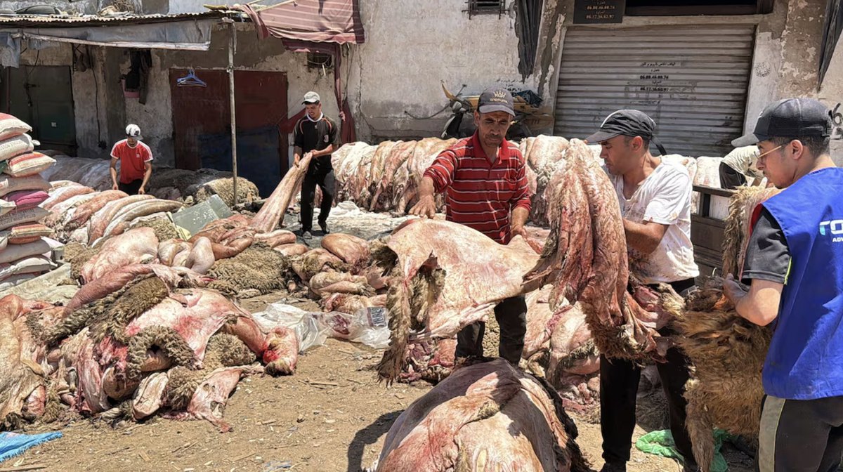 Le marché aux peaux de moutons de Casablanca: un commerce en mutation