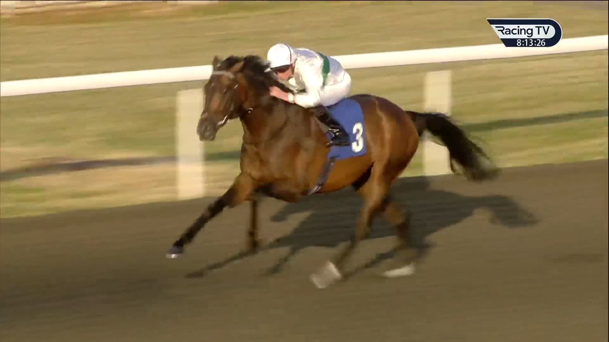 🗣️"I think we've gone back to Plan A" John Gosden confirms that Royal Ascot is now firmly on the agenda for his promising colt Water To Wine.