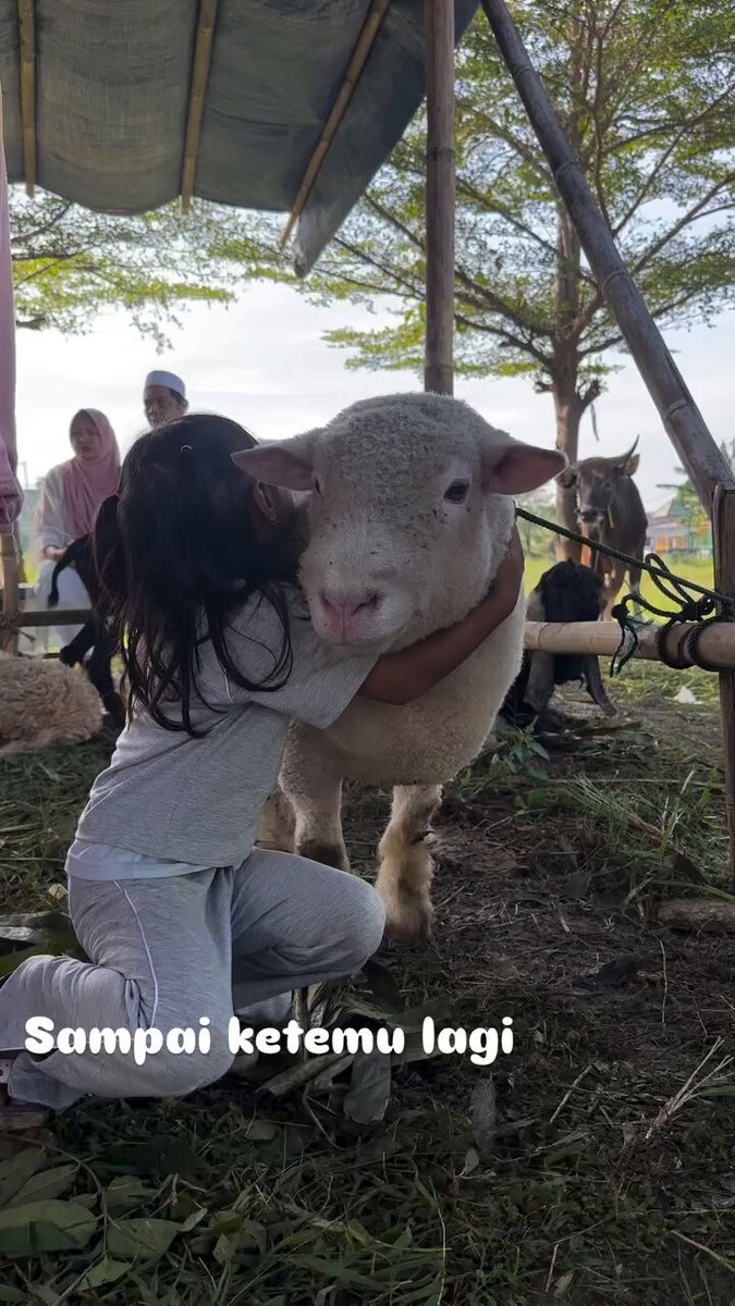 Semoga menjadi ladang amal dan bisa menuntunmu ke Surga nanti dek 🥹