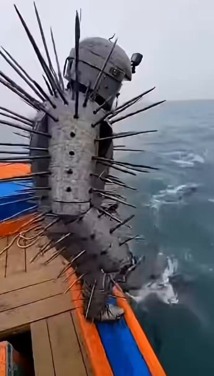 POV: You jumped straight into shark chaos 😱