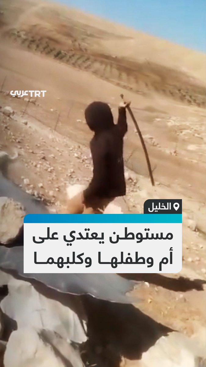 أسقط الأم وطفلها وضرب كلبهم بالعصا.. مشاهد توثق اعتداء مستوطن إسرائيلي على عائلة فلسطينية تعيش داخل كهف في إحدى قرى مسافر يطا جنوبي الخليل بالضفة الغربية المحتلة. #تفاعل ليصل إليك كل جديد