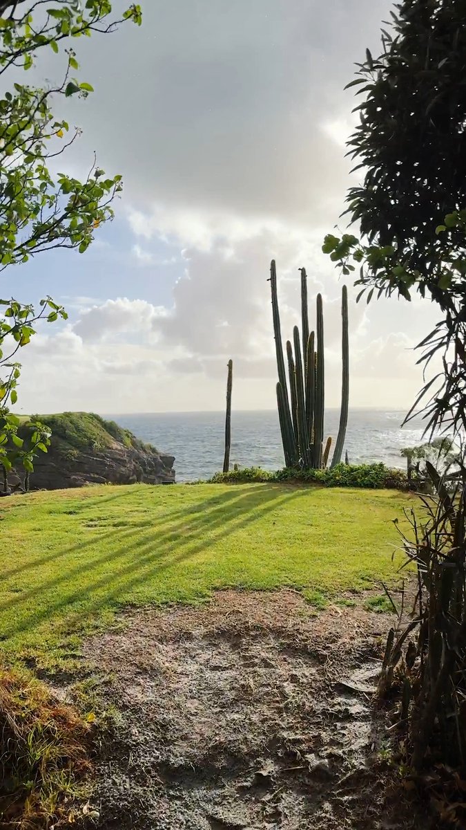 The member box on 17 at @cabotsaintlucia 🤯