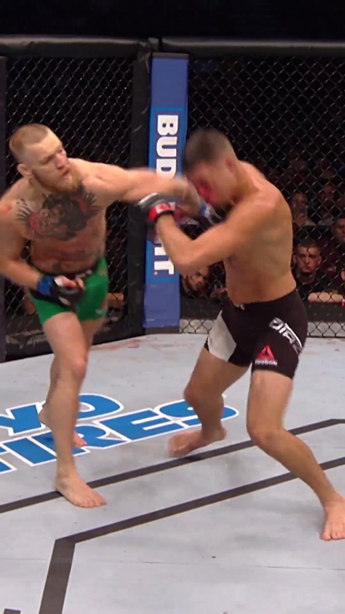 Revenge not Repeat 🩸 💪 When Conor McGregor avenged his loss to Nate Diaz!