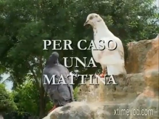 BY CHANCE ONE MORNING A PORN MOVIE WITH PEOPLE ON HOLIDAY MAYBE IN SPAIN BUT ACTORS SEEM AMERICAN- AND DUBBING IS IN ITALIAN (ON HOLIDAY PORN) #XXX #X #A #ADULT #BIGTITS #FULLPORNMOVIE #ITALIANPORNMOVIE #SPANISHPORN #PORN