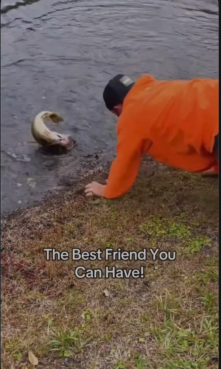 Would jump in to save your buddies PB? 📹@jakebagwellfishing