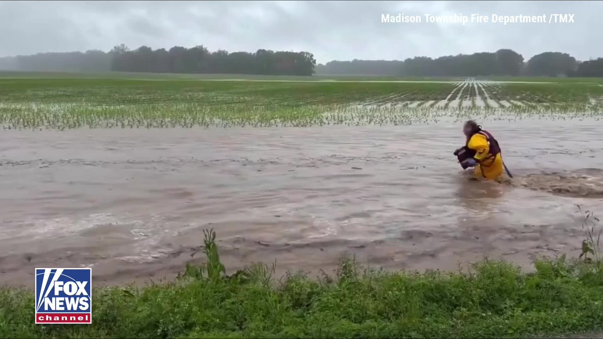 A fire captain jumped into rushing floodwaters to save a baby deer being swept downstream in Indiana. The Madison Township Fire Department was responding to call about a person stuck in a car in a flooded roadway, but when they arrived, the person had been able to get themselves out without help. That's when rescuers heard a baby deer in trouble. Capt. Joe Sinclair went in the water to save it, with his crew helping to pull him and the deer back to safety. The deer was transported to a local wildlife rescue.