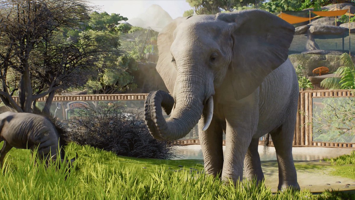 Take part in global conservation projects, assemble custom freshwater or saltwater aquariums, and release animals into Wildlife Reserves around the world in Planet Zoo 2, launching October 13, 2026!