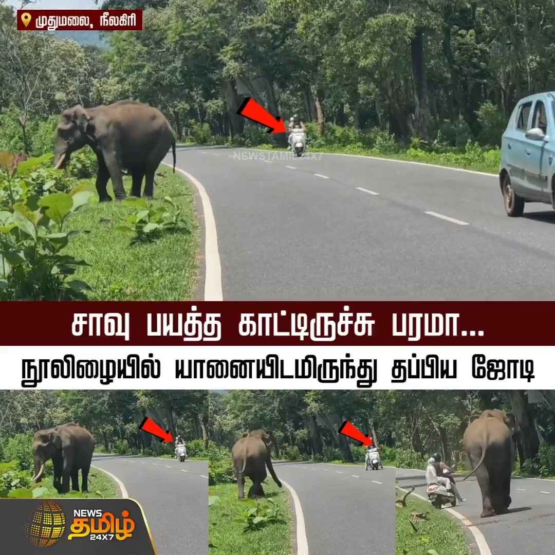 சாவு பயத்த காட்டிருச்சு பரமா... நூலிழையில் யானையிடமிருந்து தப்பிய ஜோடி #Elephant #Bike #Nilagiri #Forest #Newstamil24x7