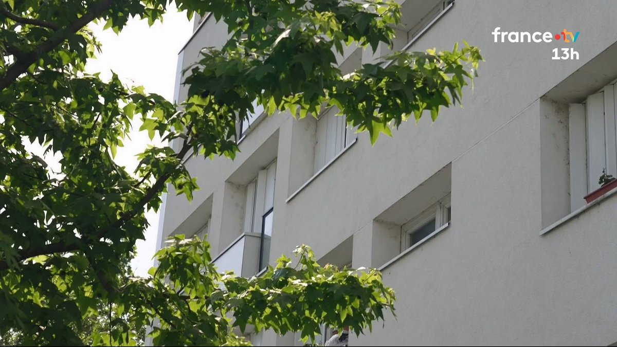 🔴 Deux adolescents ont vandalisé deux bouches à incendie à Asnières-sur-Seine en Île-de-France, dimanche 24 avril, pour se rafraîchir. Le maire de la ville a décidé qu'une facture de 1000€ serait adressée à chacune de leur famille. #JT13H