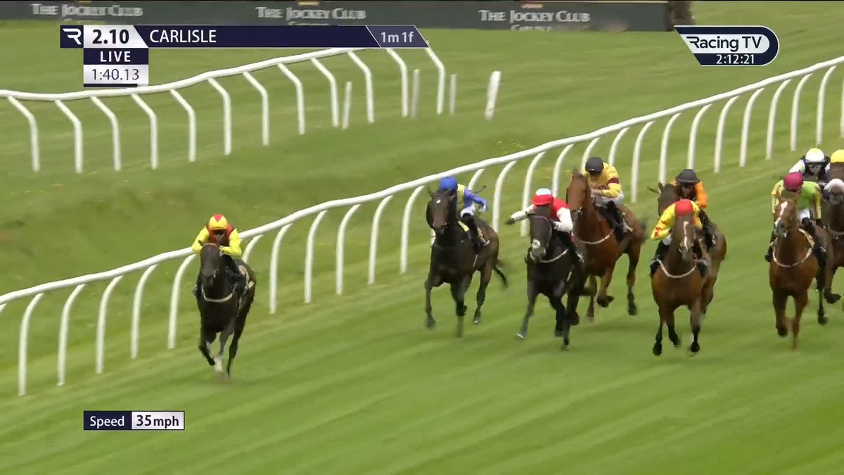 Bang in-form mare Krissy goes in again and she has an entry on Thirsk's Sunday Series card in roughly 48 hours time! ⭐️ Jim Goldie Racing