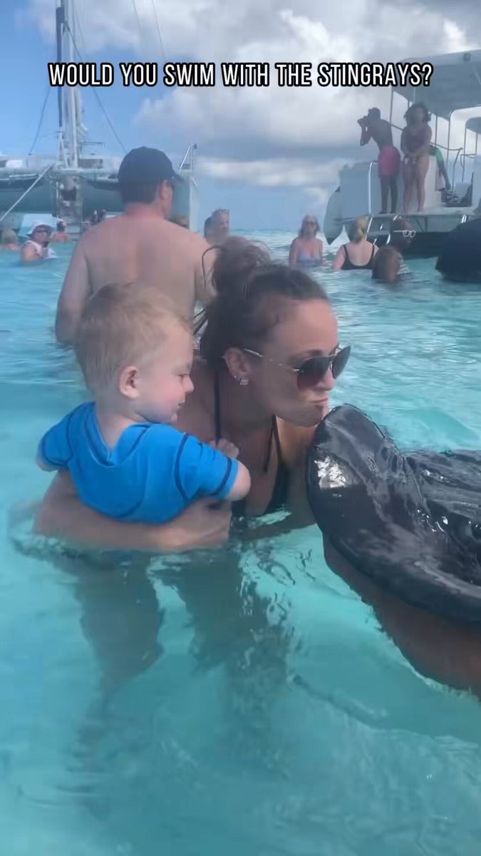 The dolphins like: here pick up your 💩 🥴🌊
